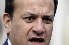 Varadkar among candidates caught up in armed robbery while canvassing