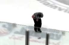 Hockey fan hits referee in groin with beer can from six rows back