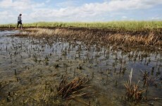 Gulf oil spill well declared 'dead' by BP