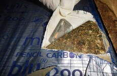 A sniffer dog discovered these drugs at Portlaoise mail centre today