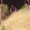 Australians are waking up to the 'hairy panic' of a tumbleweed takeover