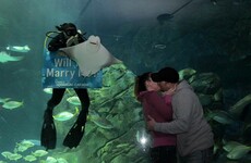 This couple's engagement photo features a rather excellent photobomb