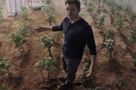 Matt Damon's character in The Martian managed to cultivate potatoes on the red planet. 
