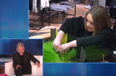 Take a break and watch Adele and Ellen's relentless smoothie shop prank
