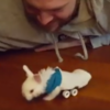 This tiny rabbit and its wheelchair is melting the internet's heart