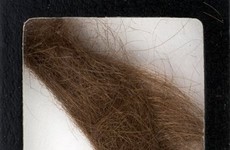Lock of John Lennon's hair sells for thousands at auction