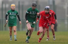 Limerick upset All-Ireland champions Cork in cracking start to camogie league