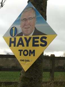 Forestry minister's posters nailed to trees in Tipperary