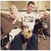 This guy with nine elderly rescue dogs and a pig is the best thing on Instagram