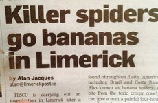 10 headlines that could only happen in Limerick