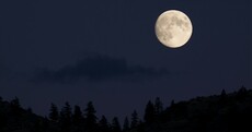 Look up - Jupiter is visible beside the moon tonight