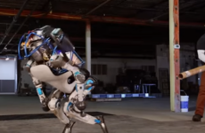 Watch Google's robot be bullied and terrorised by its creators