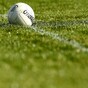 It's been a good night for Laois, Wexford and Wicklow in the Leinster U21FC