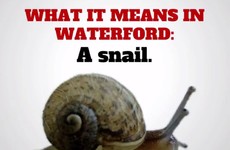 6 words and phrases that mean something totally different in Waterford