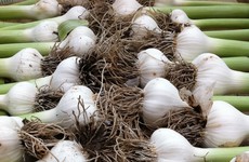 Vitamins in garlic help your body fight carcinogens and get rid of toxins