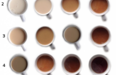 Which cup of tea is your perfect 'colour'?