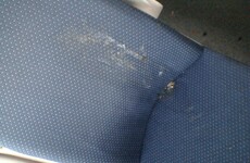 Train taken out of service after students leave vomit and other fluids behind
