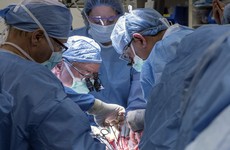 A woman has received a uterus transplant for the first time ever in America