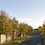 12-year-old boy dies after pony-and-trap collides with truck
