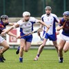 56 scores in classic Fitzgibbon Cup final as Mary I are champions for first time