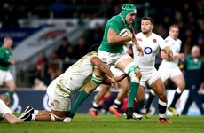 Dillane, VDF and McCloskey provide positives for Schmidt's Ireland in defeat