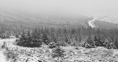 There's snow in some parts of the country - but it's getting warmer, we promise