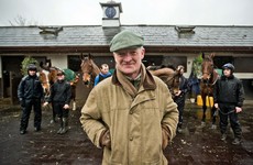 5 things we learned visiting Willie Mullins' yard today