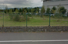 Gardaí investigating after woman attacked by teenager in broad daylight