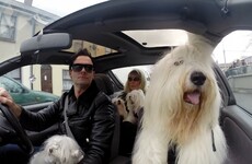 What to watch on TV tonight: Tuesday