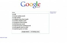 Do pigs sweat? And other important questions…