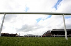 And they're off... Punchestown gets the go-ahead