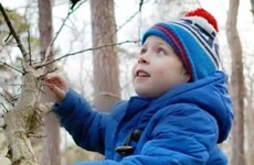 One third of children in Ireland have never climbed a tree