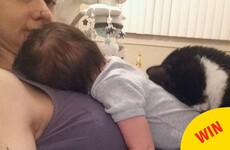 This love story between a baby and a cat who loves him is too damn precious