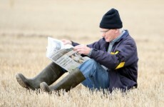 An urban dweller’s guide to the National Ploughing Championships