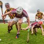 Reid the scoring star as Kilkenny hold off Galway's fightback to repeat All-Ireland victory