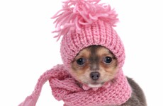 It's a cold week ahead - but things will get milder this weekend