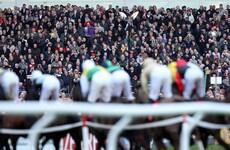 5 Cheltenham bets to land you in the winner's enclosure