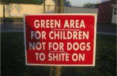 15 of the most Wicklow things that have ever happened