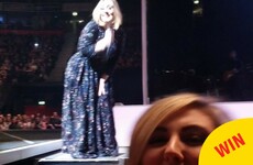 Adele excellently photobombed a fan taking a selfie at her gig