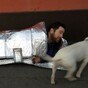 How a Limerick teen's 'sleeping bags for the homeless' idea caught the world's attention