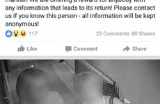 This Waterford pub is looking to get its stolen rug back on Facebook