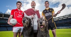 Irish wolfhounds, armed Volunteers and inter-county GAA stars gather in Croke Park