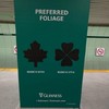 Guinness got the shamrock wrong on their Paddy's Day ads in Toronto