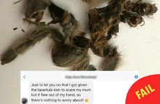 A Lisburn teen's tarantula prank on her mam sent Facebook into a frenzy last night