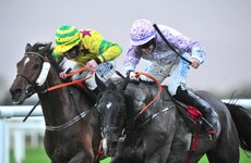 What's it like to own a horse running at the Cheltenham festival?