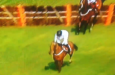 Think you've seen everything in horse racing? Think again