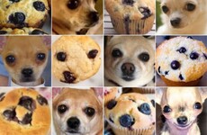 Here's what went viral today: Saturday