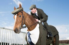 Tony McCoy's horse is the early contender for Cheltenham's best dressed prize