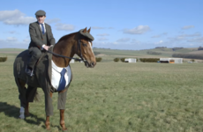 A horse in a three-piece suit is upping the style stakes ahead of Cheltenham