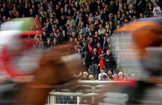 Quiz: What type of racegoer are you?